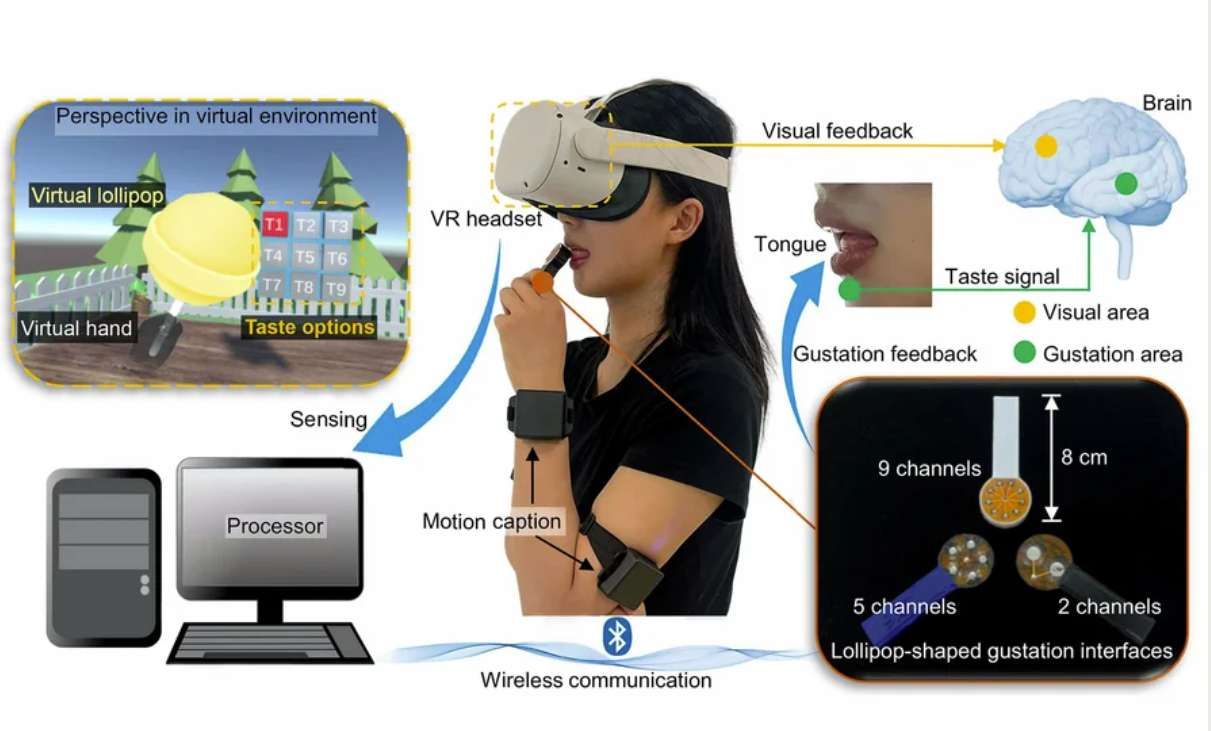 香港城市大學為VR開發棒棒糖狀舌舔味覺裝置，模擬9種不同味道