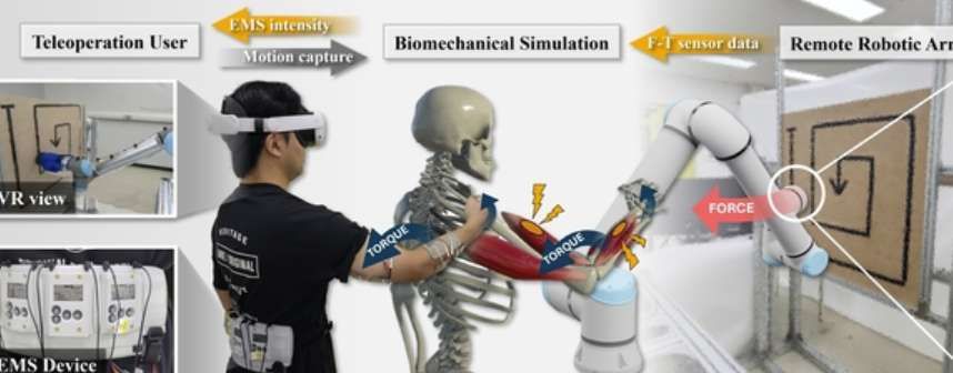 研究員研發(fā)TelePulse觸覺系統(tǒng),實現(xiàn)VR遠(yuǎn)程機(jī)器人精準(zhǔn)力反饋