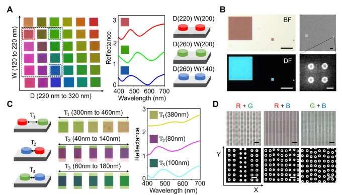 瑞典三校聯合研發560納米像素視網膜電子紙技術 第2張 瑞典三校聯合研發560納米像素視網膜電子紙技術 第2張