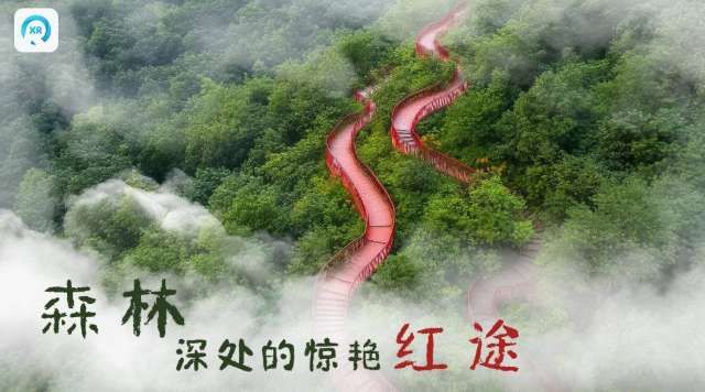 PICO視頻上線自然與宇宙主題VR內容 本周推出三部沉浸式影片 第2張 PICO視頻上線自然與宇宙主題VR內容 本周推出三部沉浸式影片 第2張