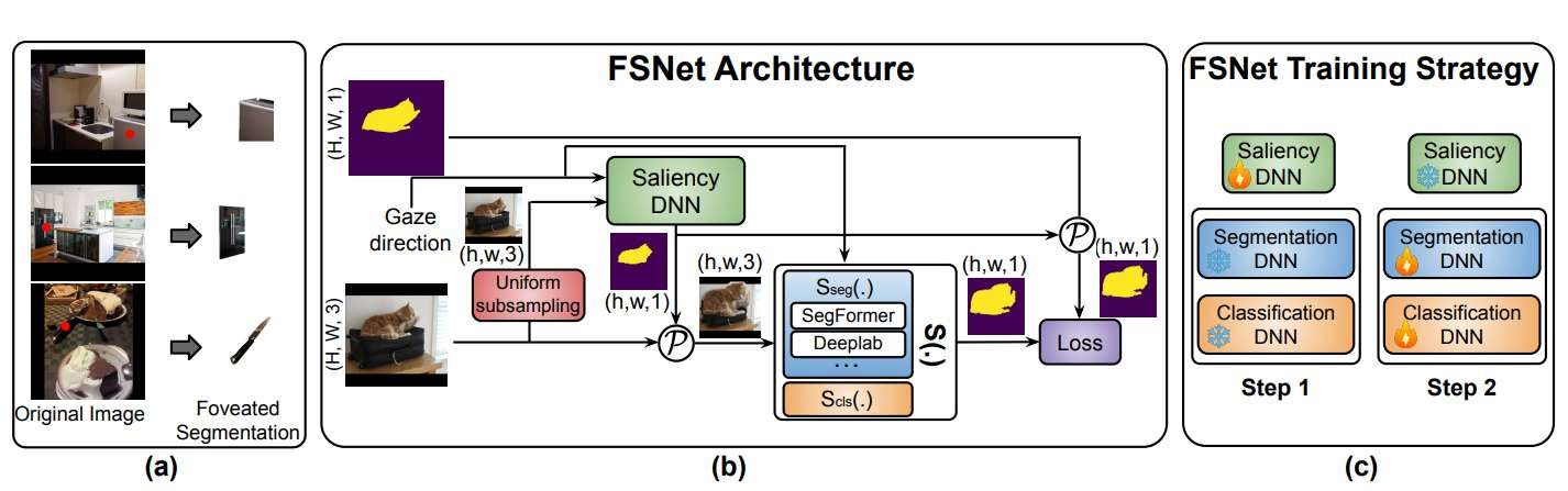 紐約大學與Meta合作開發注視點實例分割框架FovealSeg 第3張 紐約大學與Meta合作開發注視點實例分割框架FovealSeg 第3張