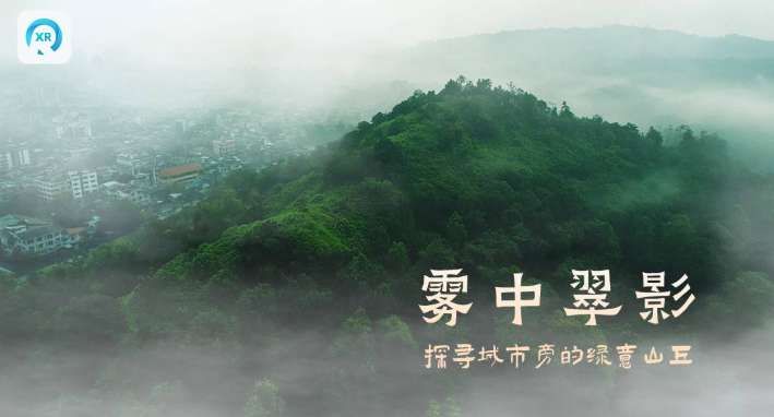 PICO視頻8月上新：穿越機視角城市綠浪與數字雨林沉浸體驗  第2張