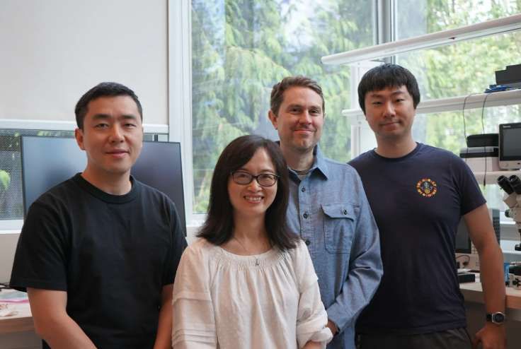 Meta Reality Labs發(fā)布Tiramisu與Boba3原型：突破VR顯示技術(shù)邊界  第6張