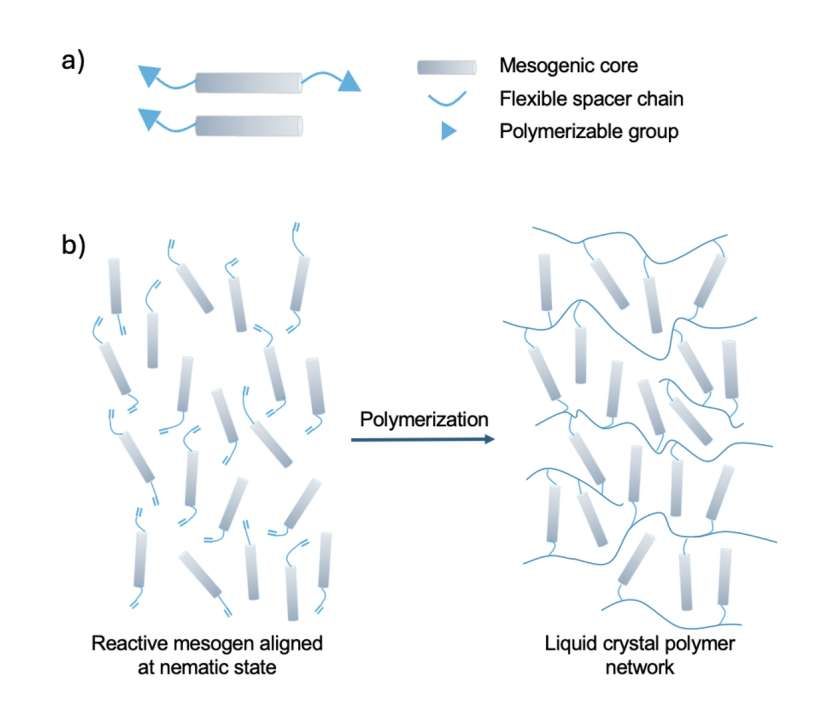 Meta開(kāi)發(fā)新計(jì)算方法加速液晶聚合物光學(xué)材料發(fā)現(xiàn)