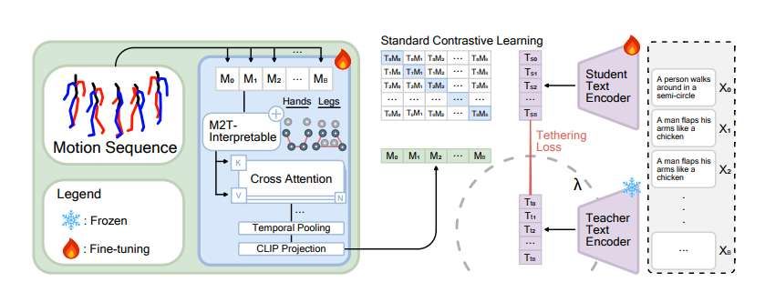 北卡羅來納大學團隊提出運動感知CLIP優化模型MoCLIP