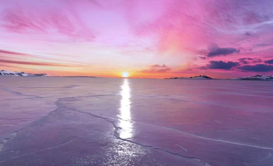 PICO Store每周新內(nèi)容  第3張