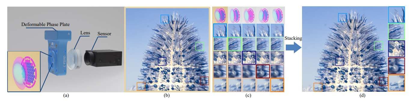 研究團隊利用可變形相位板實現動態局部像差校正的焦點堆疊成像系統