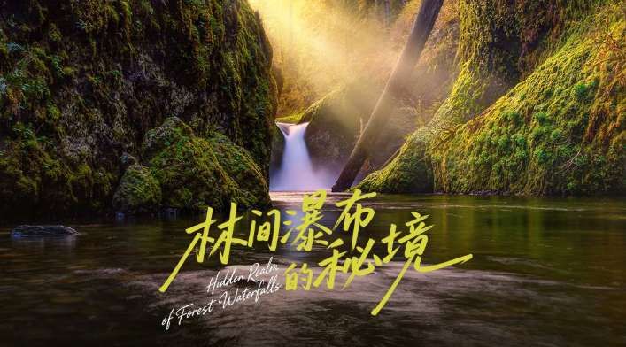 PICO視頻本周上新三部沉浸式內容  第3張