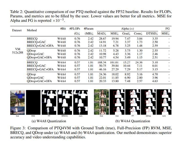 中外團隊提出視頻摳像后訓練量化框架PTQ4VM 第3張 中外團隊提出視頻摳像后訓練量化框架PTQ4VM 第3張