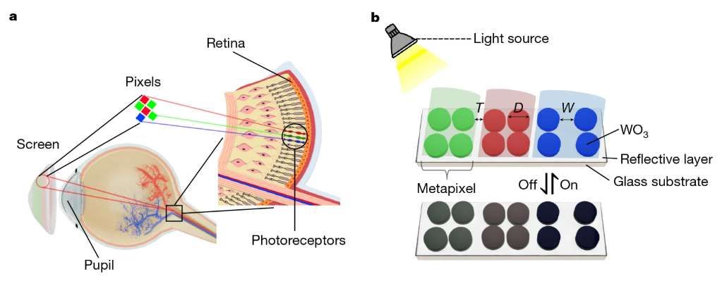 映維日報：Meta戰(zhàn)略調整元宇宙團隊重組，谷歌XR專利提出熱補償特性波導  第3張